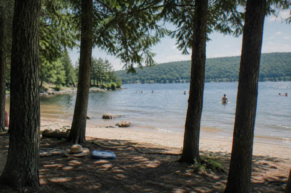 A sandy swim beach with calm shallow water and forest beyond