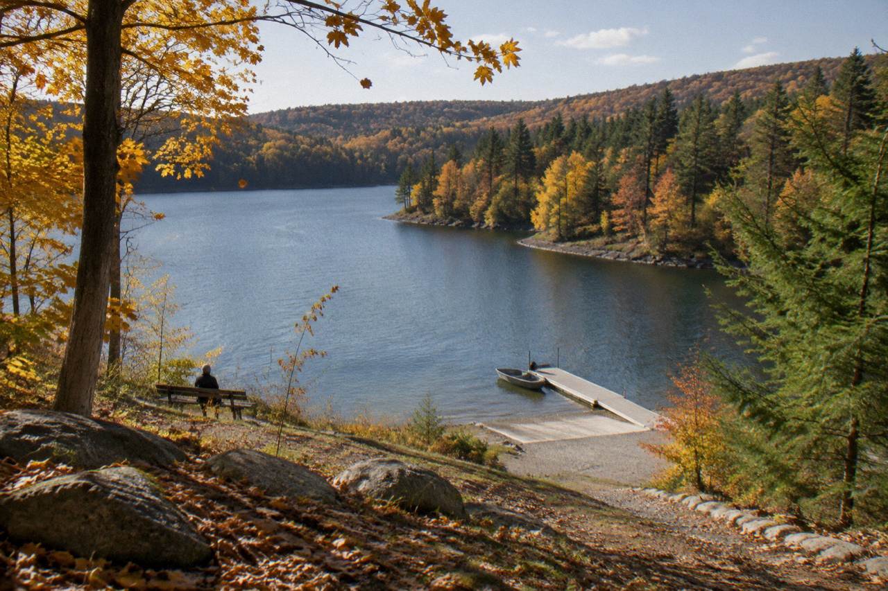 A calm cove on Deep Creek Lake with forested hills along the shoreline under a clear sky