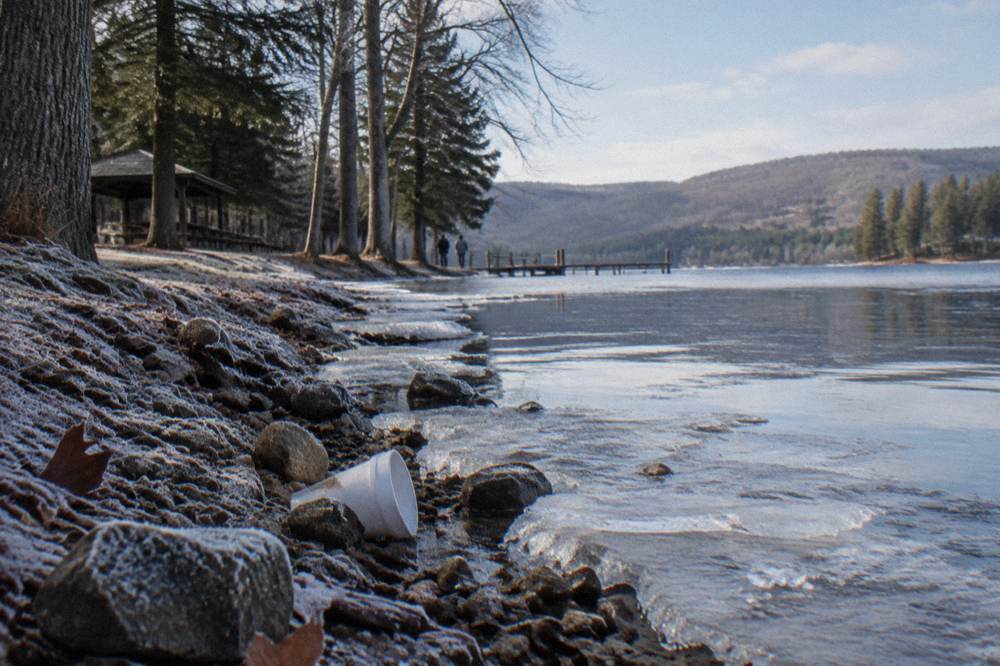 Frosty lake shoreline in early winter with bare trees along the bank