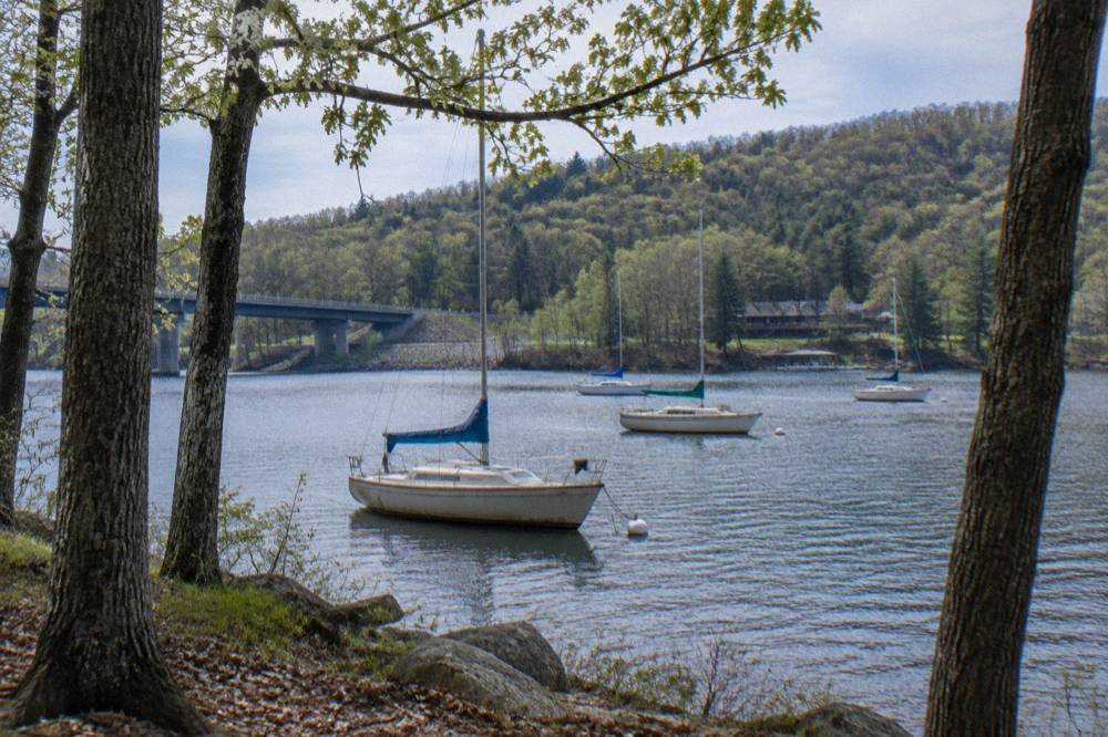 Quiet cove on a lake with sailboats anchored and tree-covered hills in the background