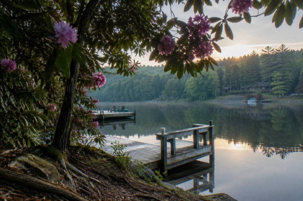 A wooded lakefront with docks and calm morning water reflecting the trees