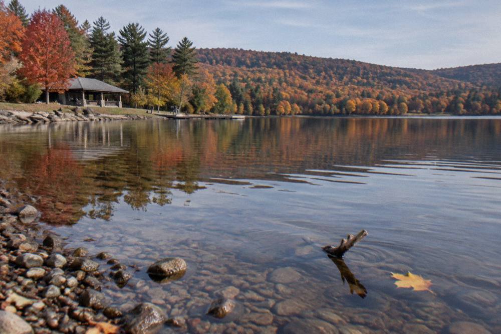 Red and orange hardwoods reflected in still water along a forested shoreline