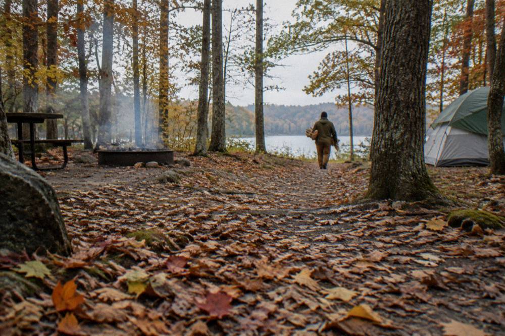 Forest trail with autumn leaves near the Deep Creek Lake shoreline