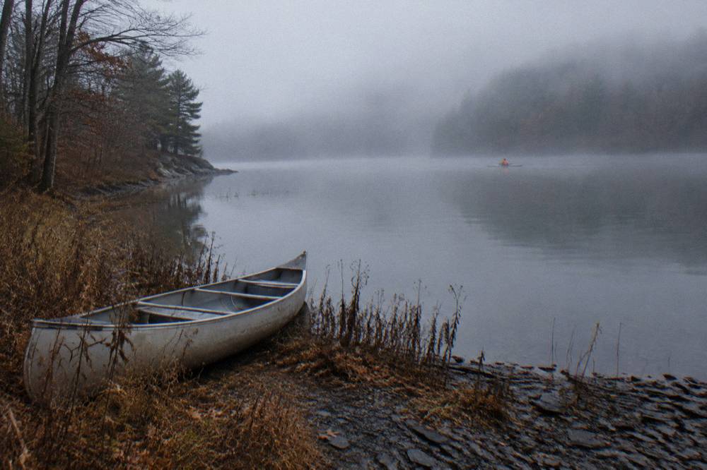 A quiet lake cove in early morning light with mist over still water