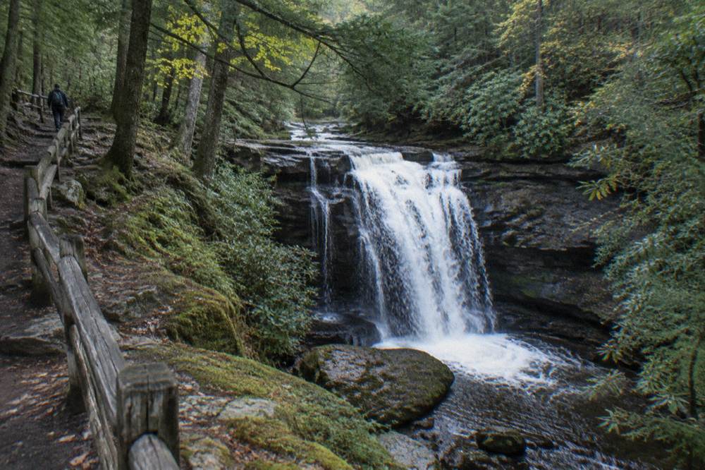 Waterfall dropping over rock ledges in a forested canyon