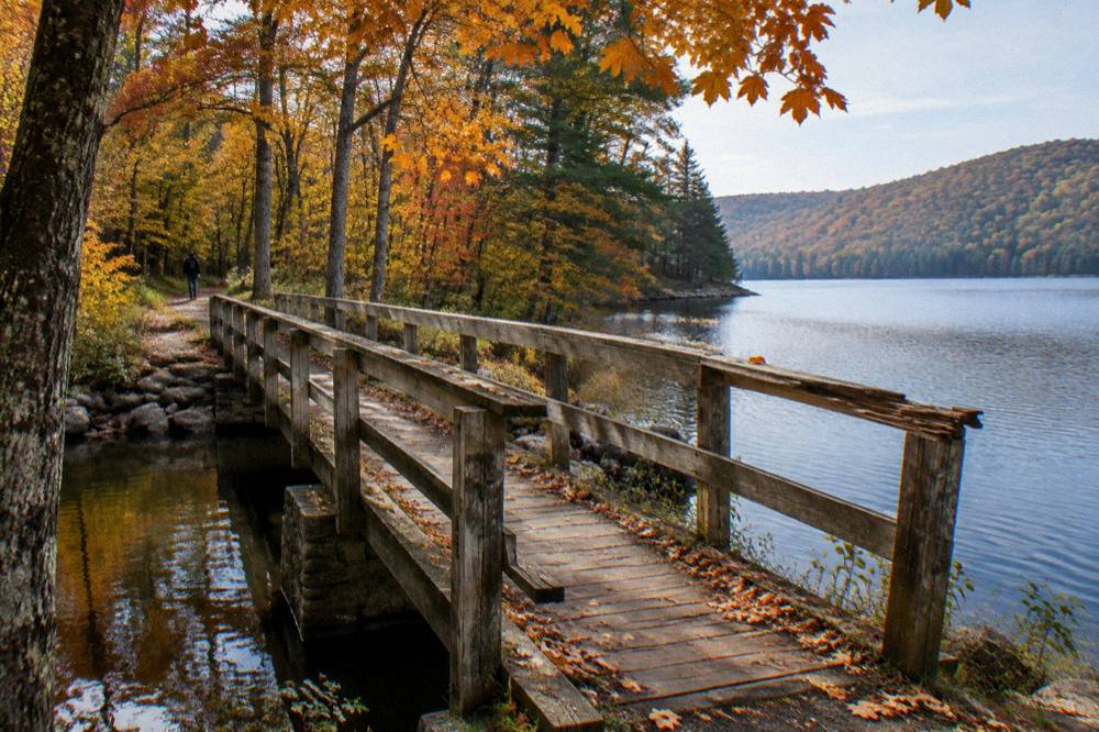 Wooden bridge over calm lake water with forest in fall color