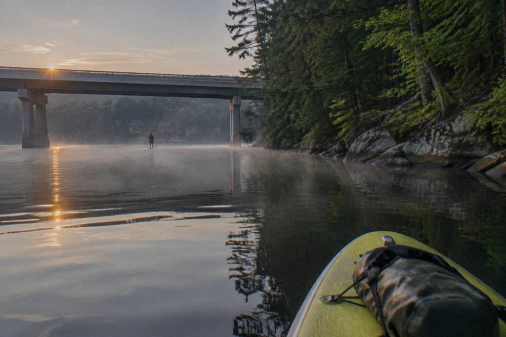 A standup paddleboard on glassy water beside a wooded shoreline in early morning light