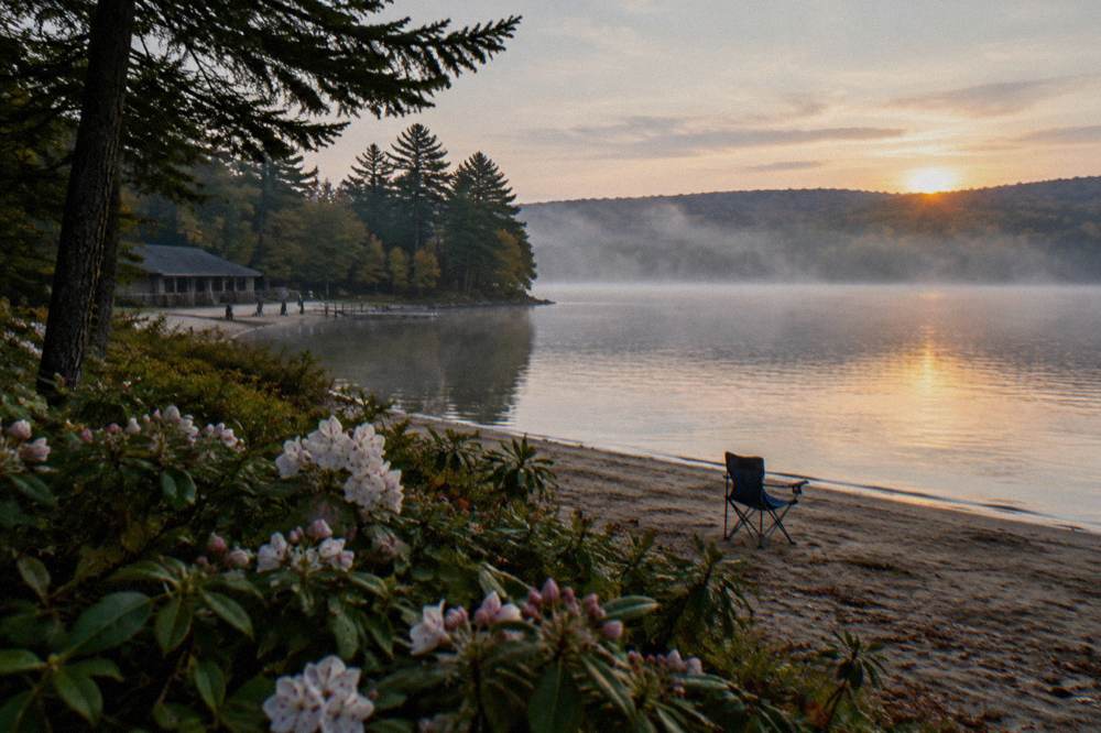 Quiet lake water in early morning light with a forested shoreline